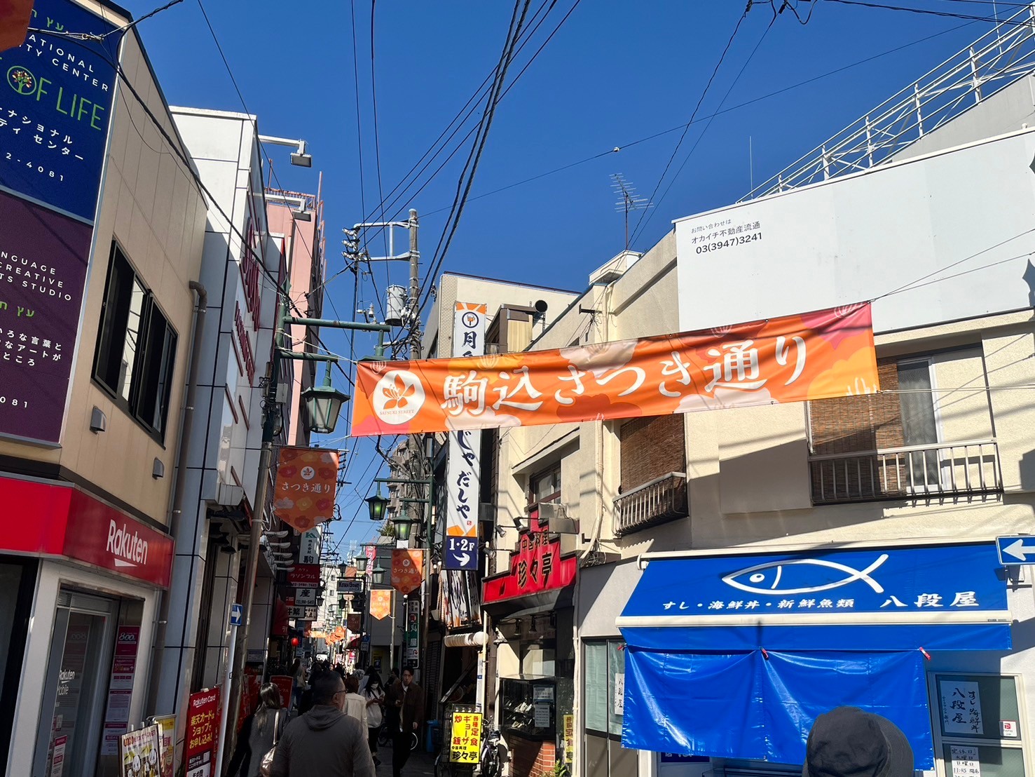 ルート