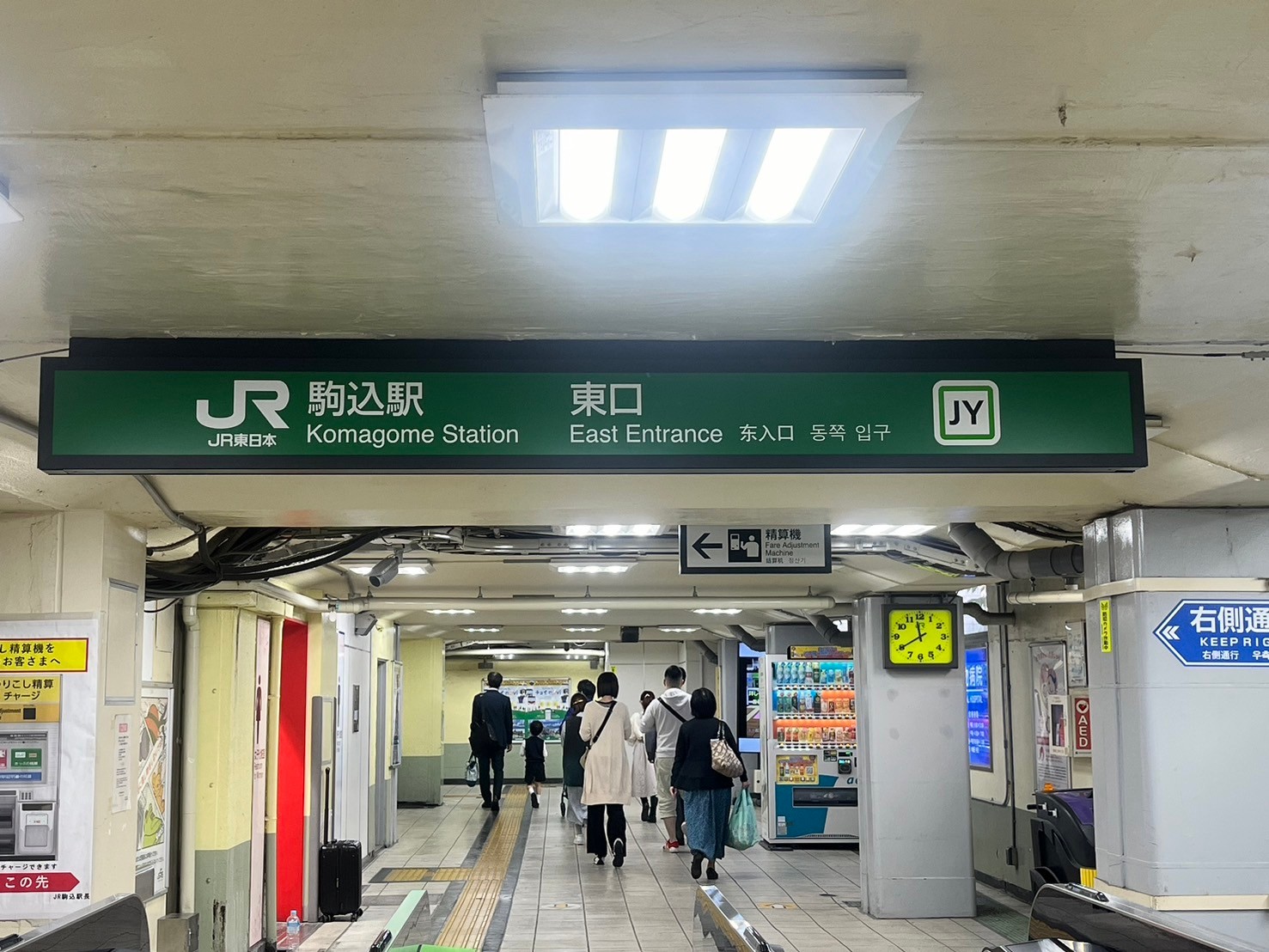 ルート