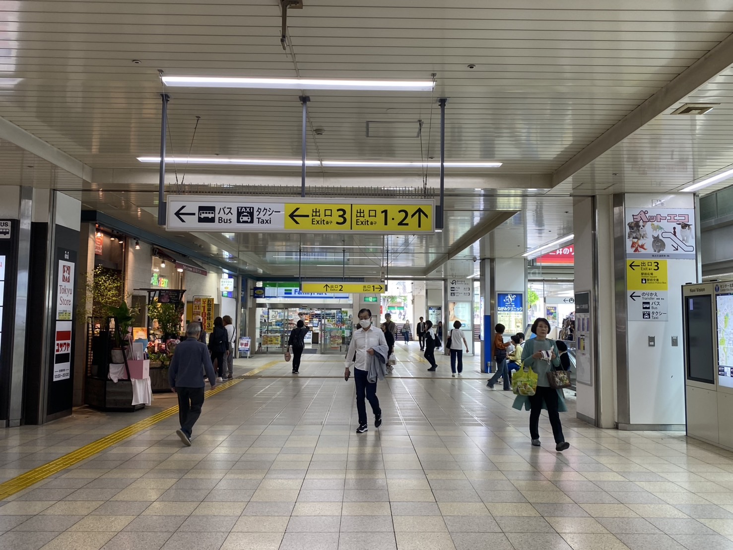 ルート