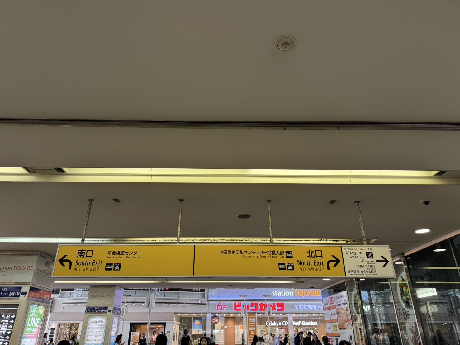 ルート