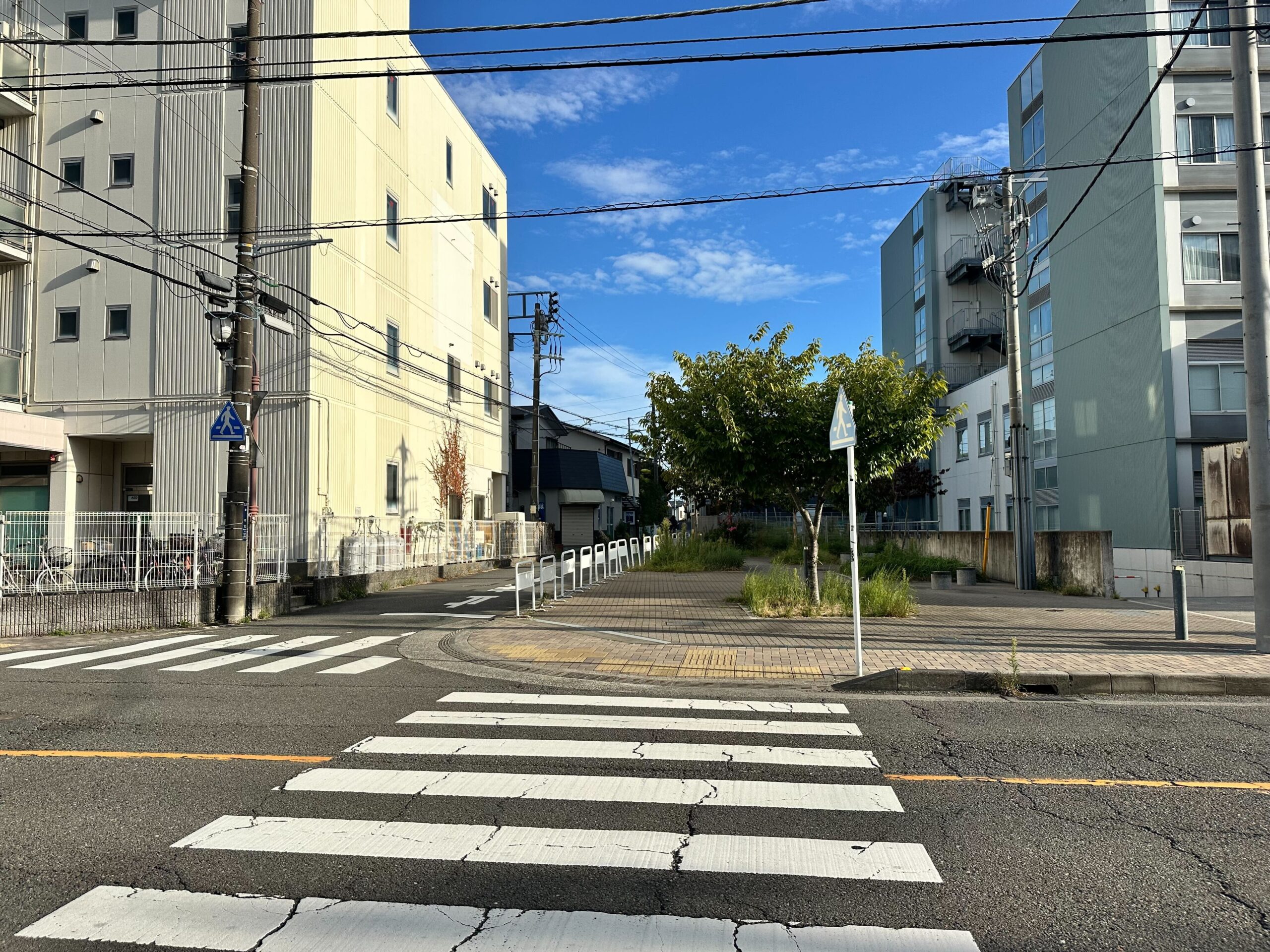 ルート