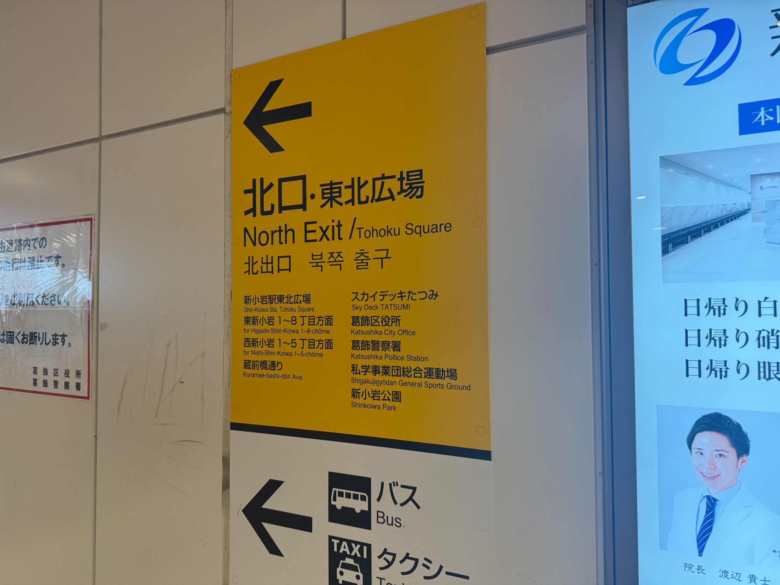 ルート
