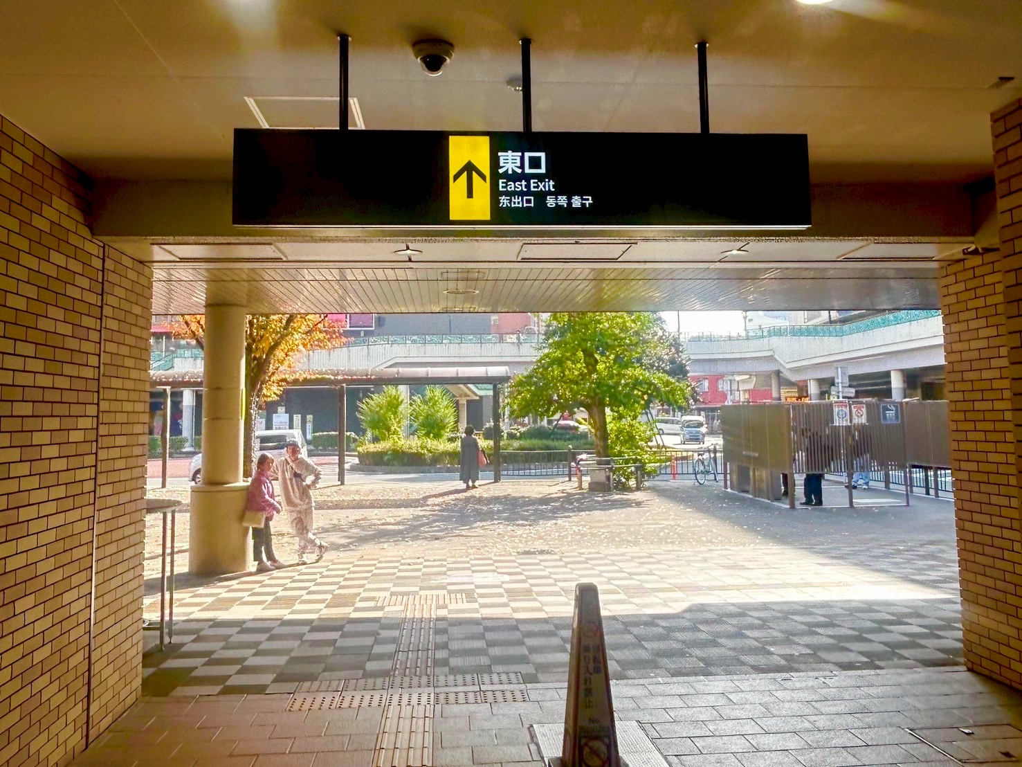 ルート