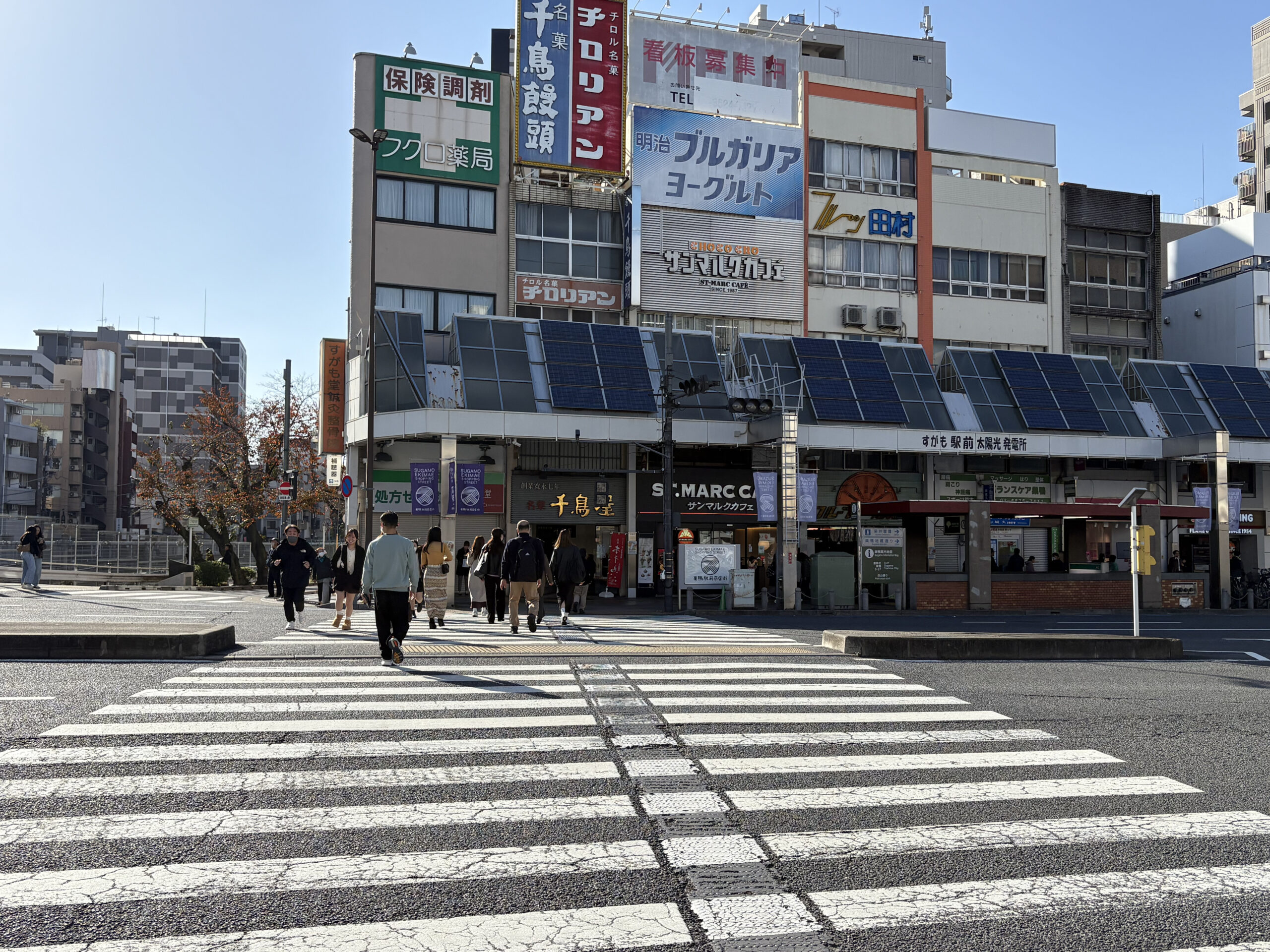 ルート
