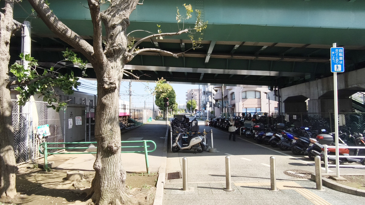 ルート